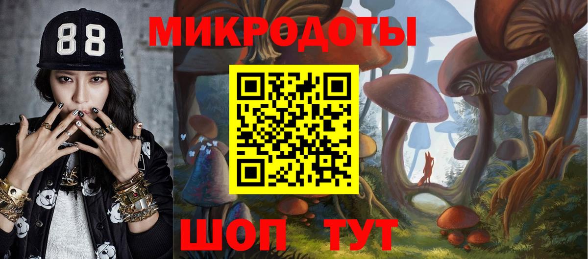 Михайловск  Галлюциногенные грибы прущие грибы  где продают   Вход с VPN  Псилоцибиновые грибы Psilocybe 