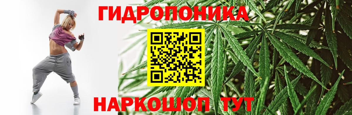 Шишки марихуана марихуана  Вход с VPN  МАРИХУАНА ГИДРОПОН  МАРИХУАНА Amnesia  Михайловск 